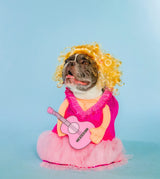 Doggy Parton Pink Dress, Guitar & Wig Set - XS/S