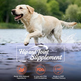 GAIAKINGCO Hip and Joint Supplement Powder for Dogs Glucosamine for Dogs, Dog Arthritis Vitamins for Hip and Joint Pain Relief Contains Glucosamine Chondroitin MSM Vitamin E for All Breeds and Sizes