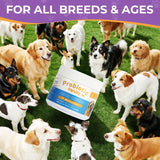 Dog Allergy and Immune Relief Chews - Probiotics for All Breeds and Ages Dogs, Support Gut Digestive Health, Anti Diarrhea, Constipation Relief, Dog Supplements - Pork Flavor - 90 Soft Chews