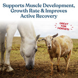 Manna Pro Calf-Manna, Multi-Species Performance Supplement for Livestock, Poultry, Cattle, Goats, Rabbits, Swine, Horses & Deer, High-Protein Animal Feed Additive for Growth, Weight Gain, 10 lb Bag