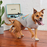 GF Pet - Graphic Tee Dog T-Shirt (Heather Grey, Medium)