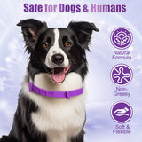 4 Pack Flea Collar for Dogs, Adjustable Flea & Tick Prevention Collars with Comb for Small Medium and Large Dog, Waterproof Flea Control Collar Safe for All Breeds, 25 inch