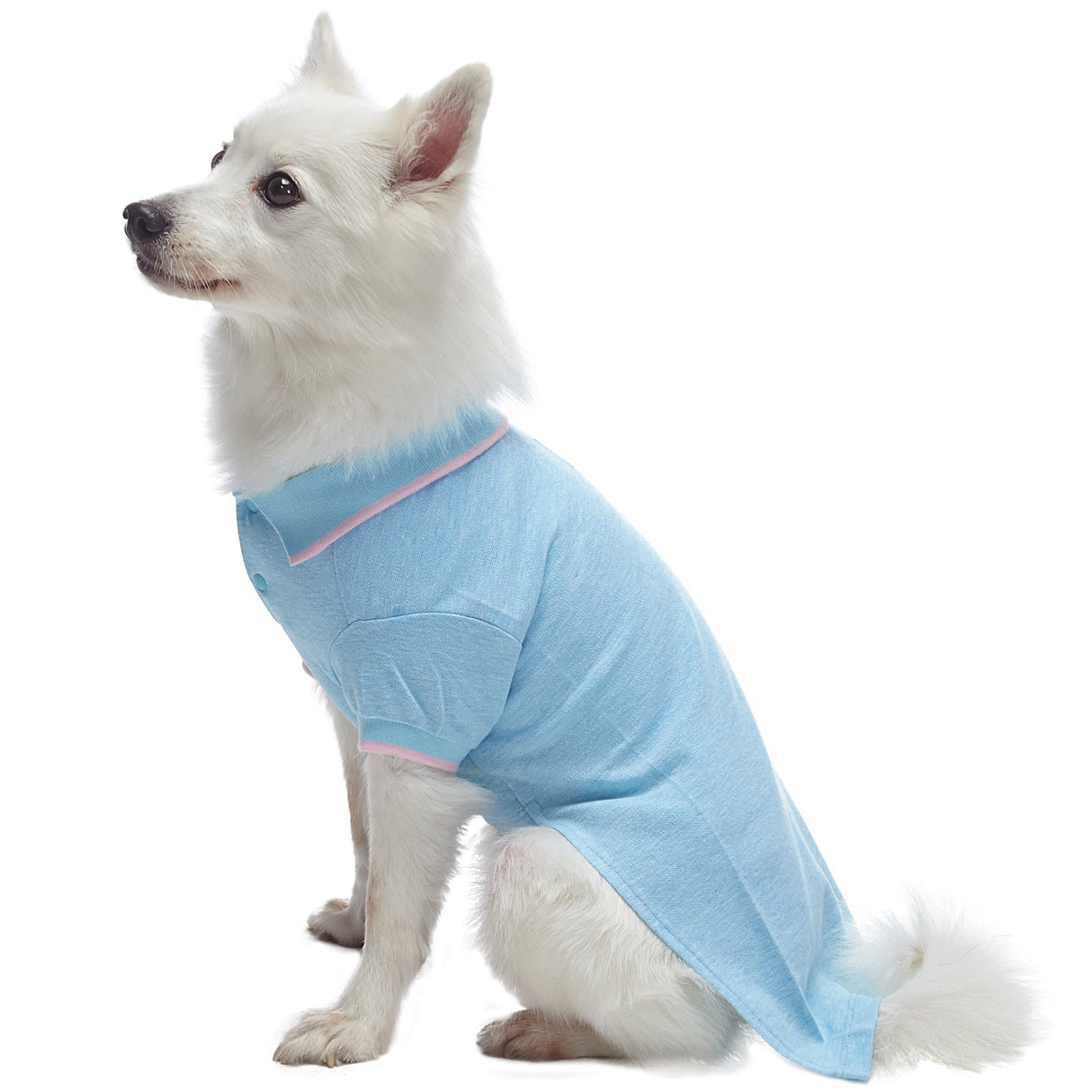 Blueberry Pet Back to School 2-Pack Prep School Style Dog Polo Shirts | Cotton Outfit for Small Pets in Pastel Pink + Blue, Back Length 14 inch