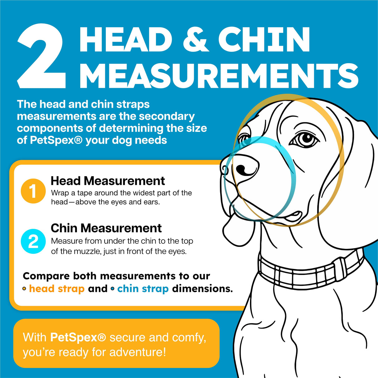 PetSpex® Dog and Cat Sunglasses, Pet Goggles with UV Protection, Windproof Water Resistant Pet Glasses with Adjustable Head and Chin Straps for Outdoor Adventures, Small, Black