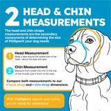 PetSpex® Dog and Cat Sunglasses, Pet Goggles with UV Protection, Windproof Water Resistant Pet Glasses with Adjustable Head and Chin Straps for Outdoor Adventures, Small, Black