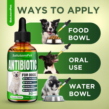 Load image into Gallery viewer, Dog Antibiotics for Infections, Cough, &amp; Itching | Natural Antibiotics for Dogs for All Ages to Promote Wound Healing | Dog UTI Treatment and Tooth Infection Treatment | Chicken Flavor | 2 Oz
