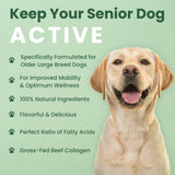 Veterinary Naturals Hemp & HIPS Joint Supplement for Dogs/Supports Relief from Hip and Joint Pain in Large, Aging Dogs (Regular, Beef & Bacon)