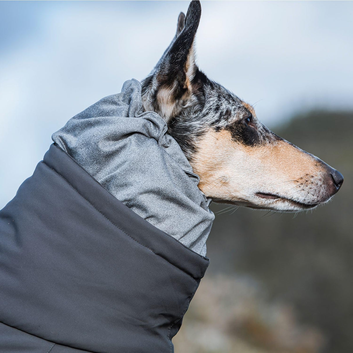 Hurtta Extreme Overall, Dog Snowsuit, BlackBerry, 20M