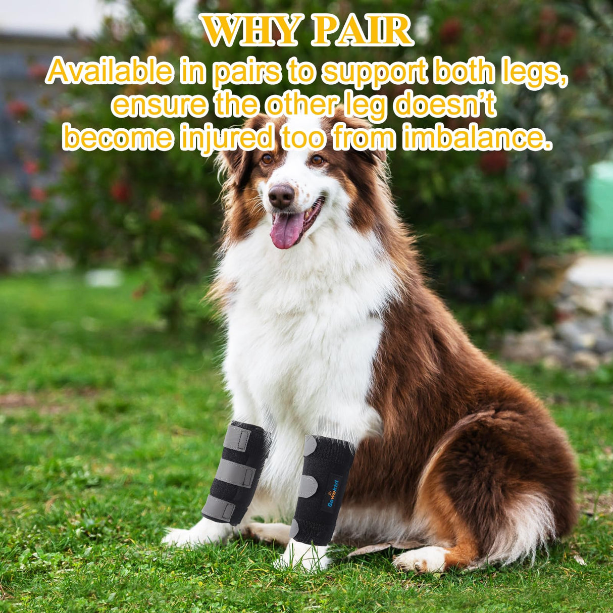 Bawektrl Dog Leg Brace for Front Hock Joint,Carpal Wrist Brace for Dogs Prevents Injuries Sprains Helps with Loss of Stability Caused by Arthritis, Keep Joint Warm, Reduces Pain Inflammation