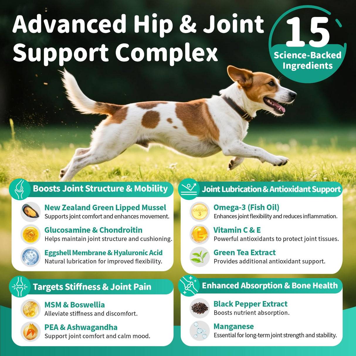 POPPAW Advanced Dog Joint Supplement – 15-in-1 Glucosamine for Dogs with Chondroitin, MSM & Green Lipped Mussel – Hip & Joint Pain Relief Mobility Chews, Chicken Flavor, 90Ct Breeds
