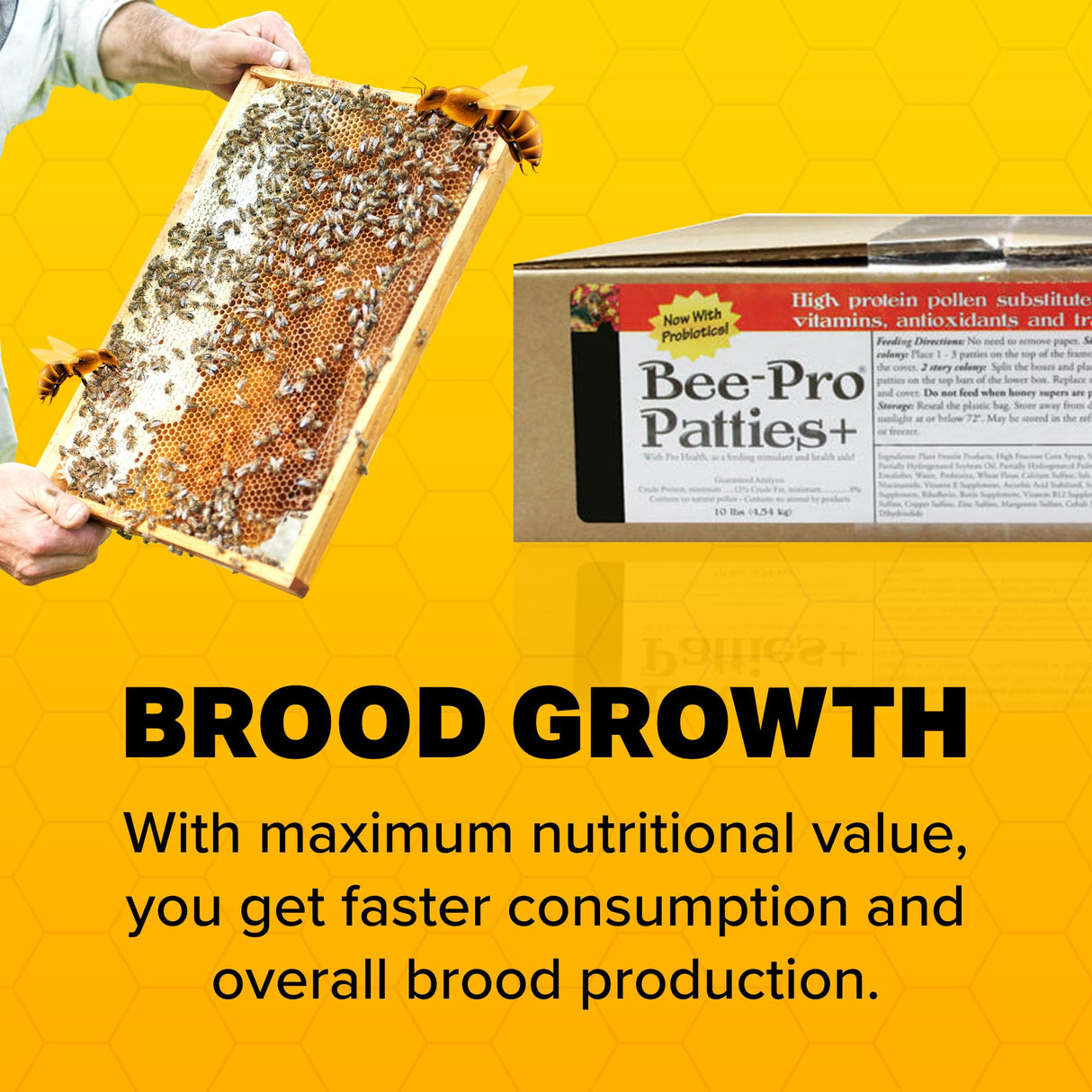 Mann Lake Bee-Pro Patties, High Protein Honey Bee Nutrition with Pro Health Digestive Aide, Spring & Fall Brood Builder for Increased Colony Survival & Stronger Spring Population, Made in USA, 10 Lbs