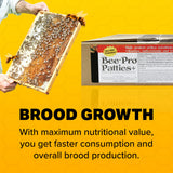 Mann Lake Bee-Pro Patties, High Protein Honey Bee Nutrition with Pro Health Digestive Aide, Spring & Fall Brood Builder for Increased Colony Survival & Stronger Spring Population, Made in USA, 10 Lbs
