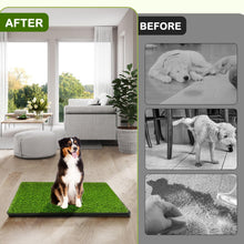 Load image into Gallery viewer, Dog Grass Pad with Tray, 34''X23'' Large Artificial Turf Grass Potty, Reusable Puppy Pee Pads for Dogs, Portable Dog Litter Box for Indoor/Outdoor Potty Training Toilet
