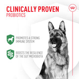 Royal Canin Probiotics for Dogs Digestive and Immune Health Powder Supplement for Dogs of All Ages, 30 Count