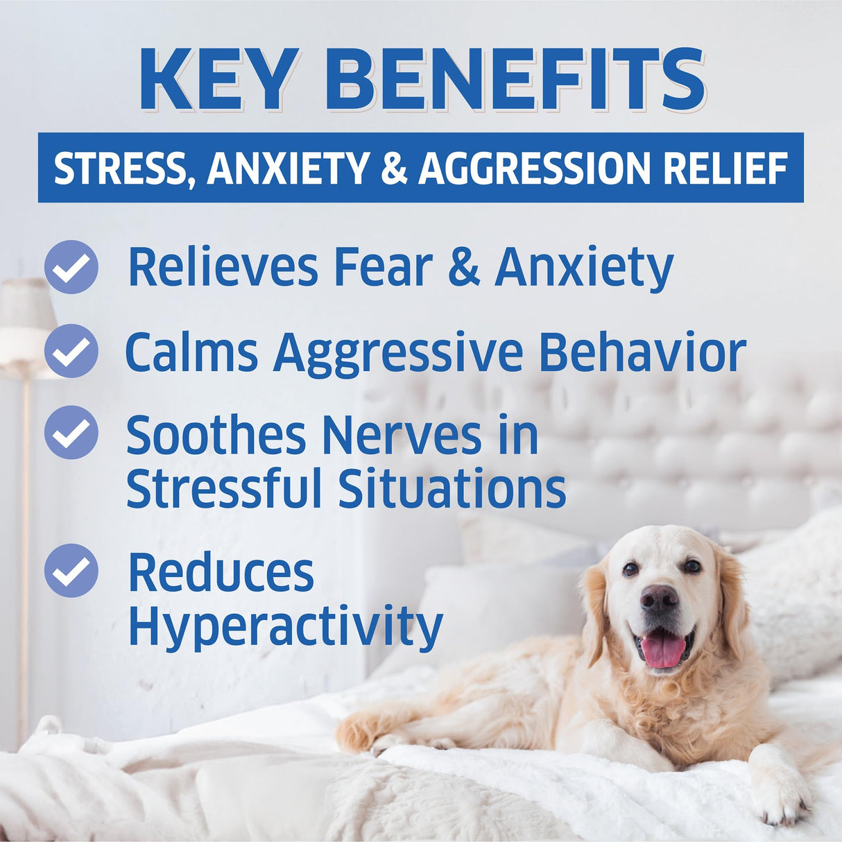 Hemp Calming Chews for Dogs - Natural Anxiety Relief Treats - Separation, Stress, Barking, Thunderstorms - 120 Dog Anxiety Chews