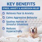 Hemp Calming Chews for Dogs - Natural Anxiety Relief Treats - Separation, Stress, Barking, Thunderstorms - 120 Dog Anxiety Chews
