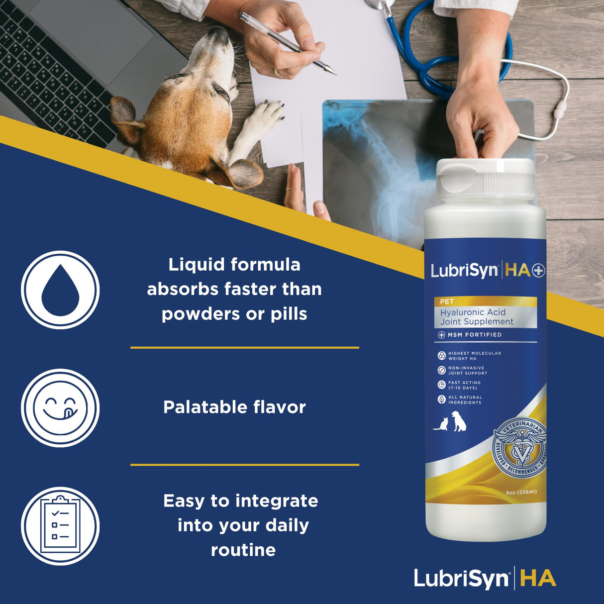 LubriSynHA Hyaluronic Acid with MSM Hip & Joint Care Supplement for Dogs, Cats & Horses – Liquid Oral HA for Pets – Joint Support Promotes Mobility, Flexibility, Cartilage Health & Comfort – 8oz