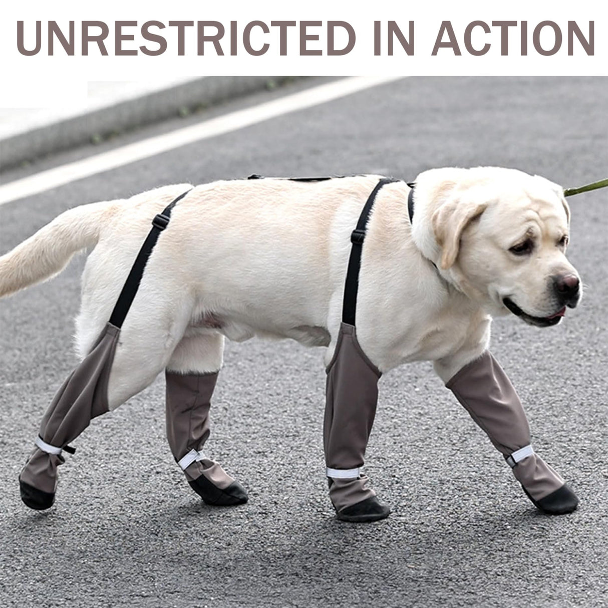 Ckuakiwu Waterproof Dog Shoes Anti-Slip Dog Shoes Reflective Dog Boots & Paw Protectors with Adjustable Straps Dog Booties for Hot Pavement, Hiking, Rainy and Snowy Days, M,Dog Rain Boots