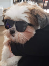 G014 Dog Cat Pet 80s Sunglasses Goggles for Small Breeds up to 15lbs (2-Pack Black+ Clear-Rainbow Mirror)