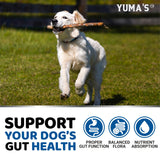 Probiotics for Dogs and Digestive Enzymes - 170 Dog Probiotics Chews - Dog Probiotic - Anti Diarrhea, Upset Stomach & Gas Relief, Canine Prebiotic - Pet Fiber Supplement - Bacon Flavor