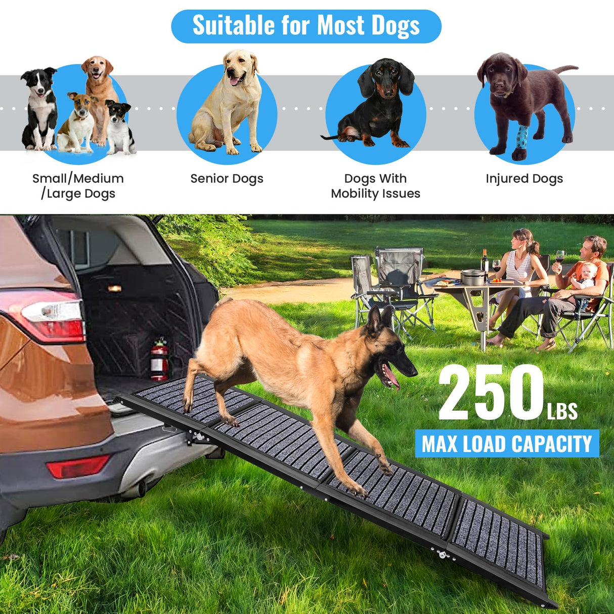 Folding Dog Ramp for Cars, 63"x17" Large Dog Ramp for SUV & Truck, Non-Slip Surface & Side Handle, Portable Pet Ramp
