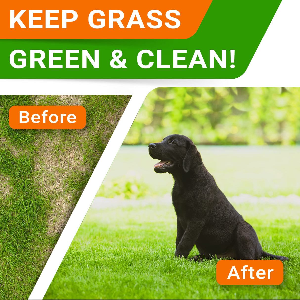 Grass Burn Spot Chews for Dogs - Dog Urine Neutralizer for Lawn - Dog Pee Lawn Spot Saver - Natural Treatment Caused by Dog Urine - Grass Treatment Rocks -DL-Methionine+Enzymes - 120 Chew