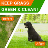 Grass Burn Spot Chews for Dogs - Dog Urine Neutralizer for Lawn - Dog Pee Lawn Spot Saver - Natural Treatment Caused by Dog Urine - Grass Treatment Rocks -DL-Methionine+Enzymes - 120 Chew