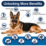 Omega 3 Skin and Coat Supplement for Dogs 200 Chews Dog Fish Oil Supplements with EPA & DHA Fatty Acids Dry Skin Relief for Dogs Shedding Allergy Itching Promotes Heart Hip Joint Health Chicken Flavor