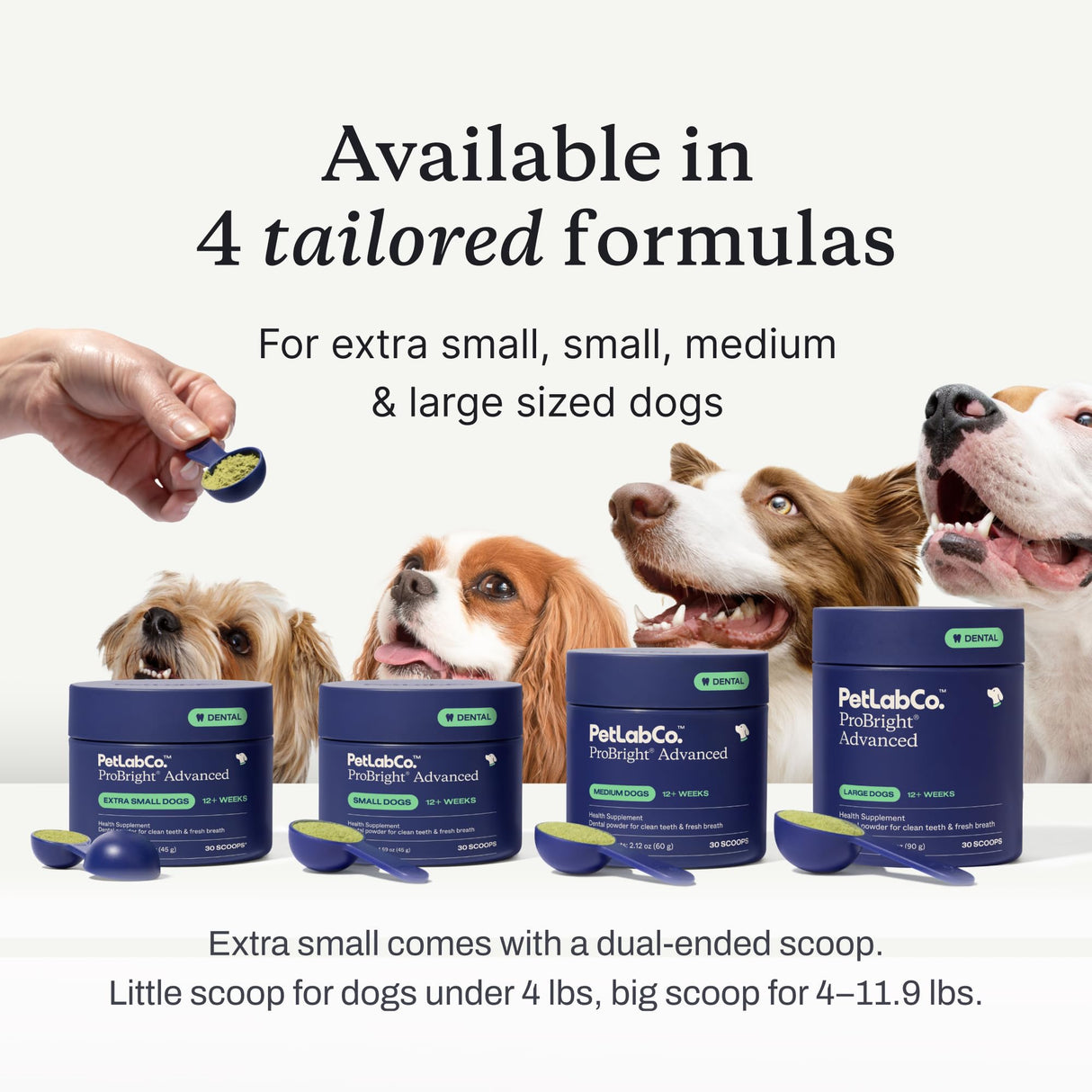 PetLab Co. ProBright Dental Powder - Dog Breath Freshener - Teeth Cleaning Made Easy – Targets Tartar & Bad Breath - Formulated for Extra Small Dogs - Pack of 2