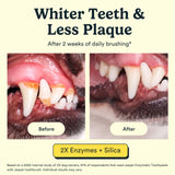 Jasper Dog Tooth Brushing Kit and Dog Toothpaste Kit with Dog Toothbrush Enzymatic, Plaque Remover Imporves Bad Breath Natural Pet Toothpaste Dog Toothbrush and Toothpaste 3.5oz Bacon Flavor
