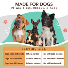 Load image into Gallery viewer, Natural Dog Company Hip &amp; Joint Supplement for Dogs – Supports Mobility, Flexibility &amp; Comfort, Glucosamine, Chondroitin, MSM &amp; Turmeric, Chicken Flavor, 90 Count
