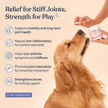 Load image into Gallery viewer, Pawfy Hip &amp; Joint Supplement for Dogs with MSM &amp; Vitamins | Glucosamine Chondroitin for Small, Medium &amp; Large Breed - Supports Mobility &amp; Bones | Glucosamine for Dogs with Omega 3-30 Chews
