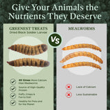 Dried Black Soldier Fly Larvae for Chickens & Ducks – Treats for Ducks, Hens, Wild Birds, Lizards, Tortoises & Fish – All Natural High Protein & Calcium – Mealworms Alternative – Made in North America