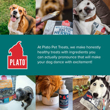 Load image into Gallery viewer, Plato Pet Treats Fish Dog Treats - Air-Dried, Single Ingredient Dog Treat - with Omega 3 &amp; 6 Fatty Acids to Support Skin and Coat - 100% Whole Fish - Wild Caught Baltic Herring Dog Treats - 8.5 oz
