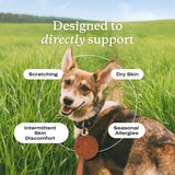PetLab Co. Itch Relief Chews - Support for Dry, Occasionally Itchy Skin & Coats - Formulated with Turmeric, Omega 3 & 6, Honey - Packaging May Vary