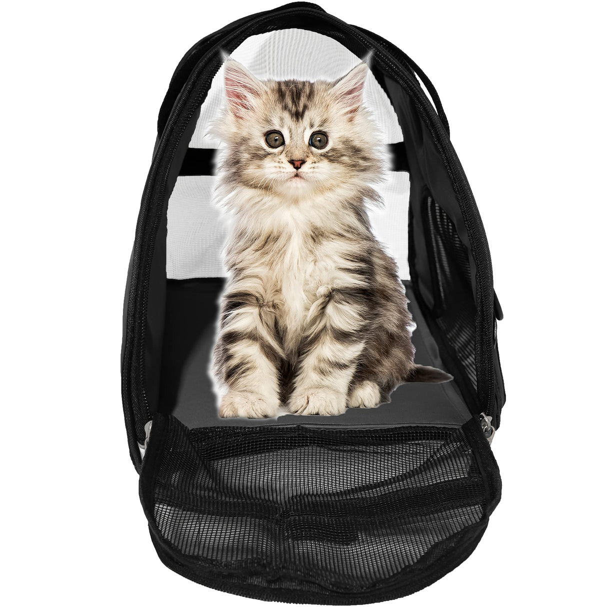 MuchL Pet Carrier Soft-Sided Carriers for Cat Carriers Dog Carrier for Small Medium Cats Dogs Puppies Pet Carrier Airline Approved Cat Dog Pet Travel Carrier (Medium,Black)