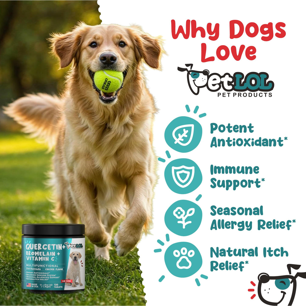 PET LOL Quercetin for Dogs with Bromelain & Vitamin C - Allergy & Itch Relief, Immune & Inflammatory Support - 120 Chewable Tablets Made in USA