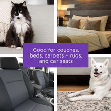 Load image into Gallery viewer, BLACK+DECKER Pet Hair Remover, Roller, Remove Dog Hair and Cat Hair Easily (HMSCT0001)
