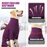 JOHNBOLIN Warm Fleece Dog Sweater with Turtleneck & Leash Hole, Long Sleeve Winter Pullover Jumpsuit for Small Dogs – Cold Weather Indoor/Outdoor Apparel (Wine red, X-Small)