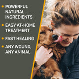 Absorbine Silver Honey Hot Spot & Wound Care Ointment for Dogs, Cats, Small Animals, 2oz Tube