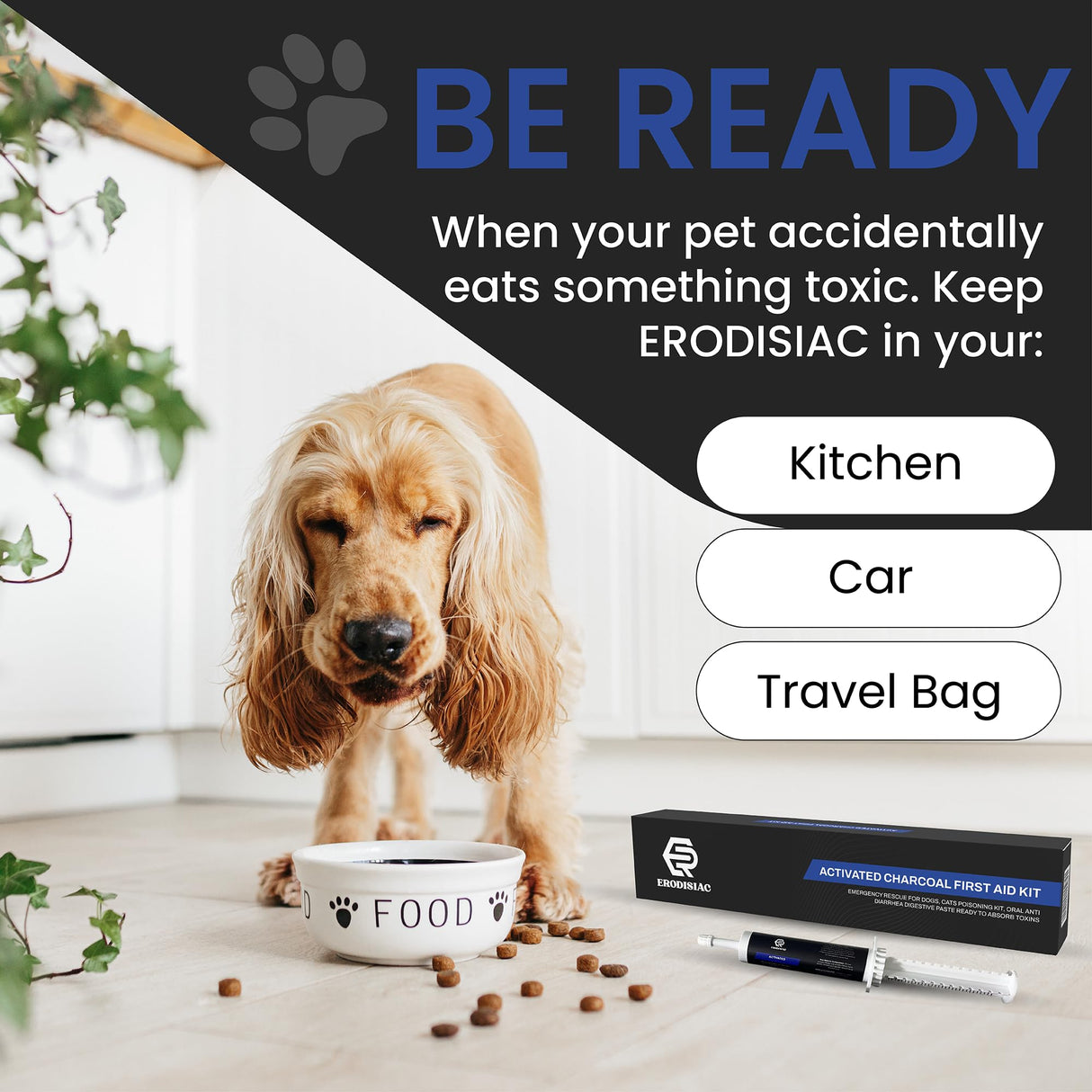 ERODISIAC - Activated Charcoal First Aid Kit Emergency Rescue for Dogs, Cats, Oral Paste for Dogs, Poisoning Kit, Oral Anti Diarrhea Digestive Paste Ready to Absorb Toxins