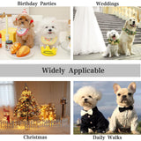 Dog Dress,Pet Wedding Dress Princess Formal Tutu Skirt with Bowknot,Puppy Birthday Party Outfit Apparel Girl for Dogs Cats (White Lace, XX-Large)