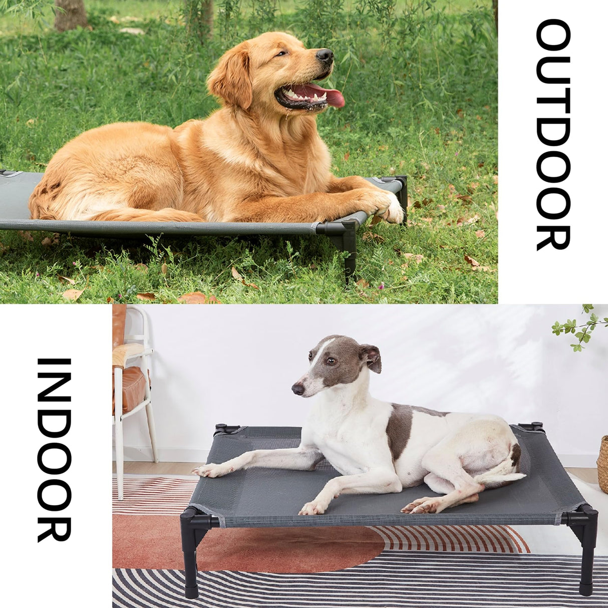 pettycare Elevated Outdoor Dog Bed - Raised Cot for Large Dogs, Heavy Duty Pet Cots Waterproof, Cooling, Washable Breathable Teslin Mesh, Durable, Non Slip, 42 Inches, Grey