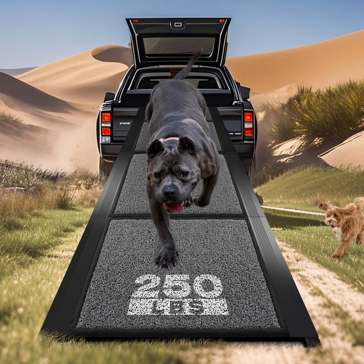 Dog Ramp for Car, Pawlify 71" x 20" Dog Ramps for Large Dogs with Anti-Pinch Handle and Anti-Slip Rug Surface, Folding Dog Ramp Up to 250LBS, Portable Dogs Car Ramp for SUV, Trucks