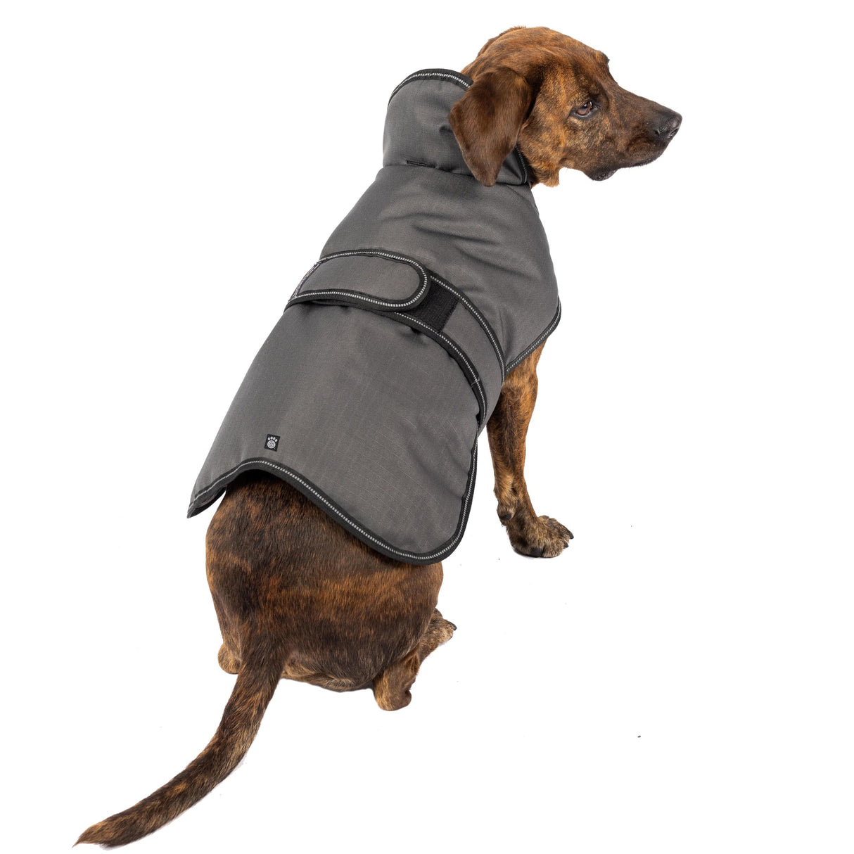 PetRageous 7303CGS Juneau Waterproof Cold Weather Dog Coat with Full Chest Coverage Leash Opening 11-Inch Long Heavyweight Jacket for Small Breeds and Puppies, Charcoal Grey