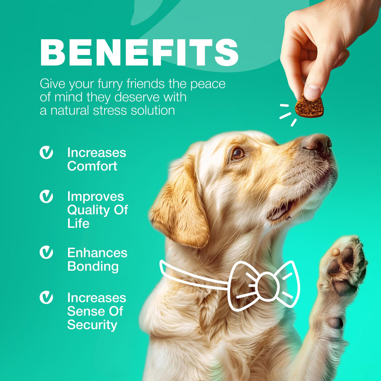 Probiotics for Dogs Gut Health, Digestion, Immunity, Yeast Balance, Itchy Skin, Allergies Support - Dog Probiotic Chews with Digestive Enzymes for Gut Flora- Soft Treats with Pumpkin and Yeast Powder