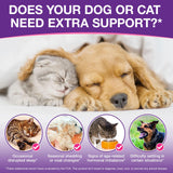 Melatonin for Pets, Melatonin for Dogs, Sleep Aid for Dogs, Melatonins for Cats, Support Aanxiety & Stress Relief, Promotes Relaxation and Deep Sleep, 2Oz Chicken Flavor