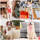 Segarty Dog Neck Christmas Bow Ties 30PCS Assorted Pattern Adjustable Pet Collar Bowtie for Medium Large Dog Bowknot Costumes Grooming Accessories Photography New Year Festival Party Pet Style Gift