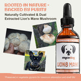 MycoDog Lions Mane Mushroom Supplement for Dogs - Cognitive & Brain Health - Lions Mane for Dogs - Senior Dog Wellness Drops