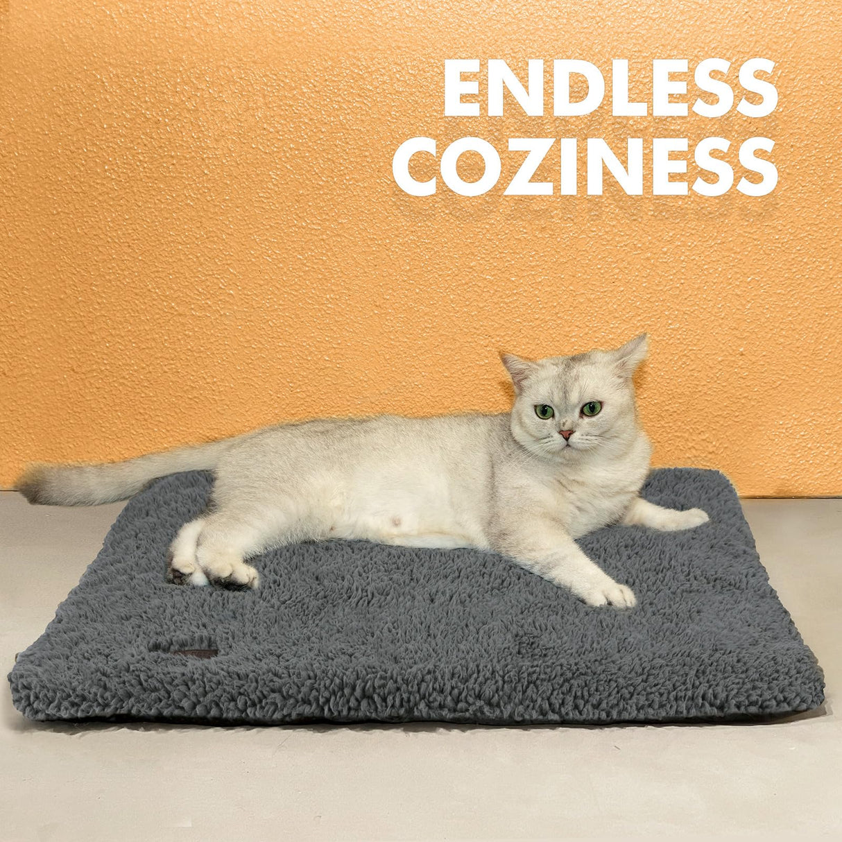Self Warming Cat Bed Self Heating Cat Dog Mat 29.1 x 18.9 inch Extra Warm Thermal Pet Pad for Indoor Outdoor Pets with Removable Cover Non-Slip Bottom Washable Non Electric